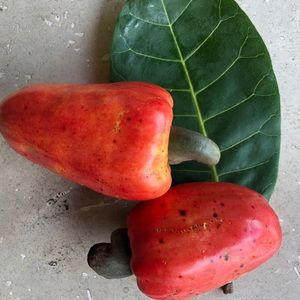 Meet your Posher, Nadette